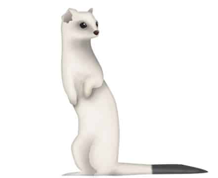 ermine-emoji ermine-emoji